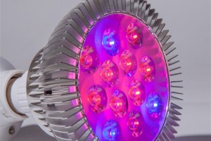 Mars-Hydro-LED-Grow-Light-PAR-38_ 副 本