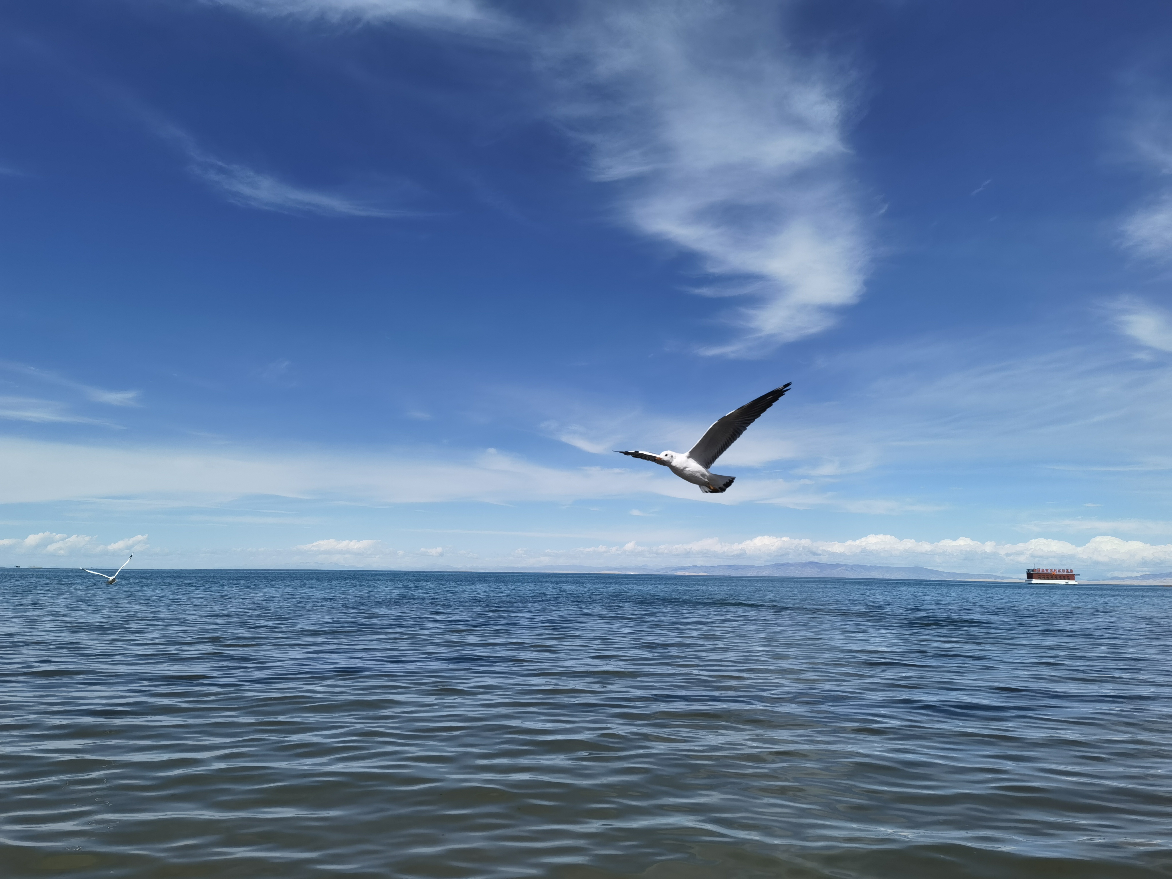 微信 图 图 图 图 图 _ _ _ _ 00