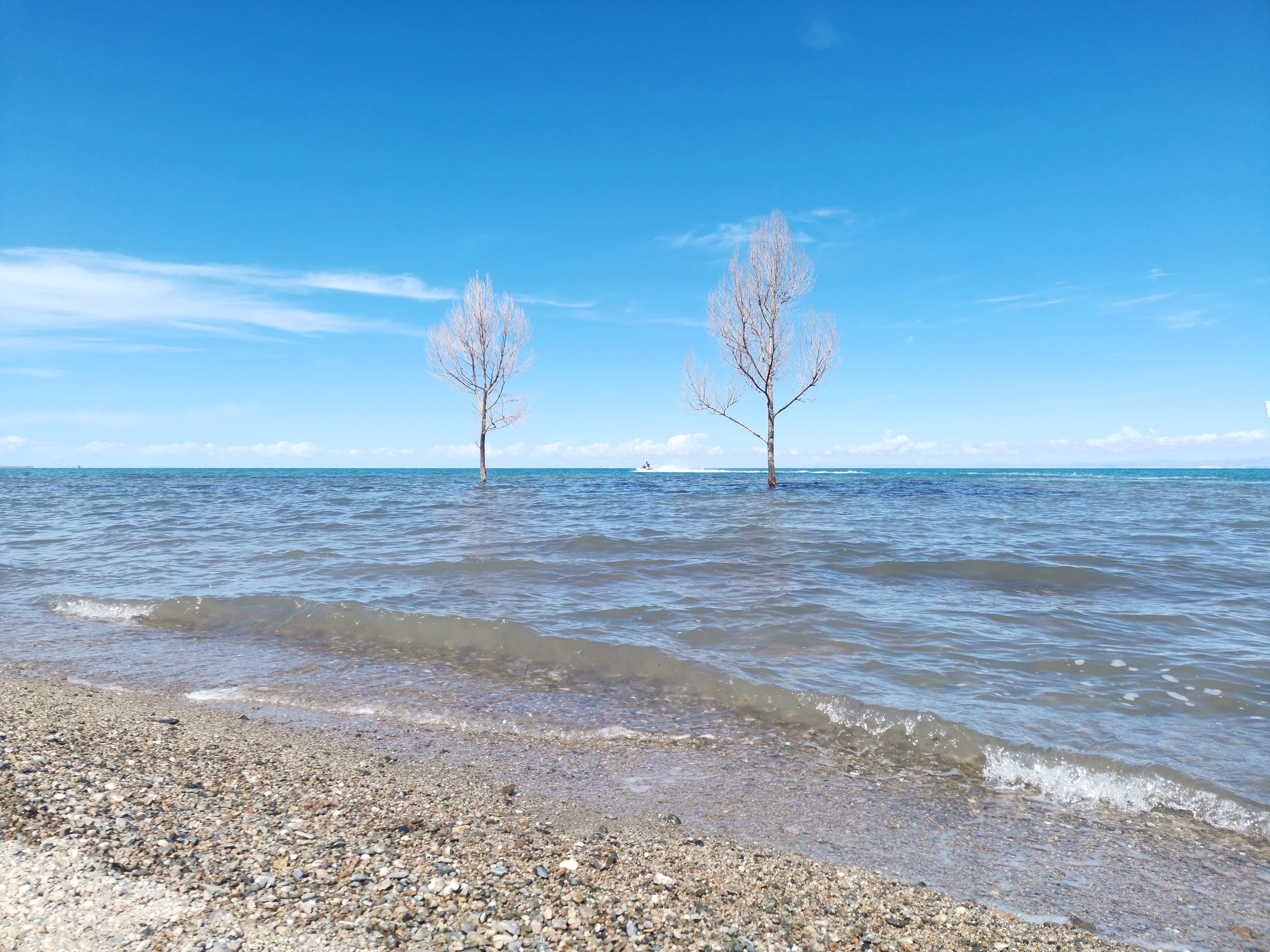 微信 图 图 图 图 图 图 _ _ 00