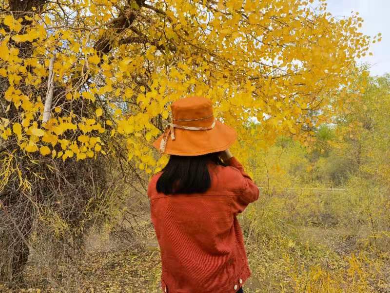 微信 图 图 图 图 _ _ 00